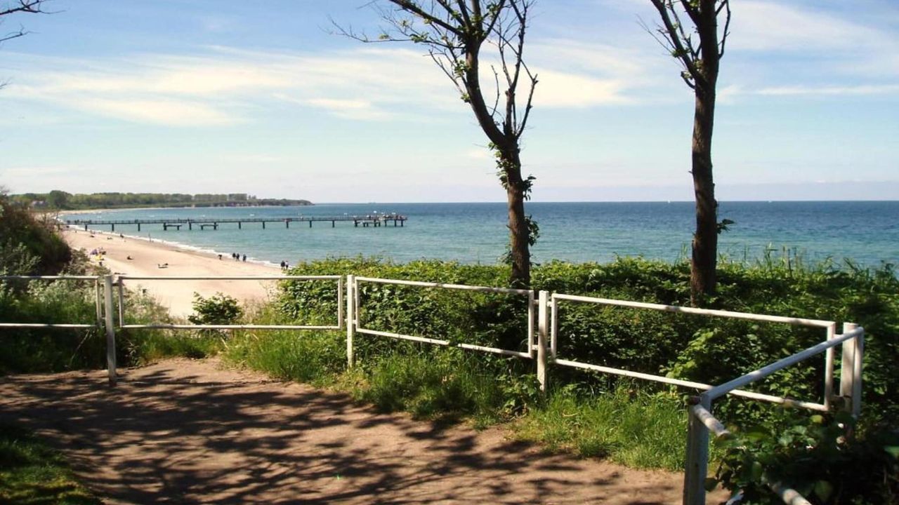 AreaSummer5KM AreaSummer5KM